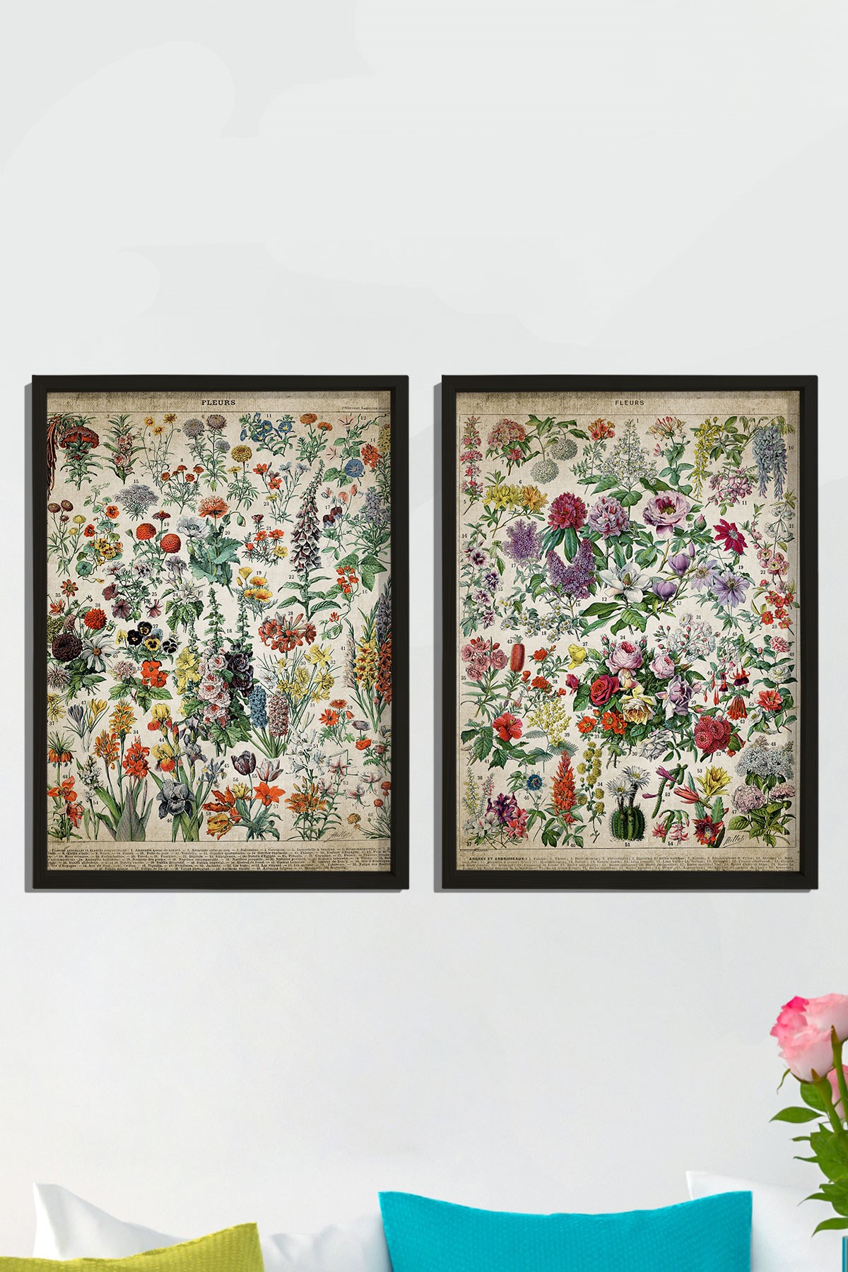 Doğal Çam Çerçeveli Duvar Tablosu Antik Çiçekler ve İsimleri