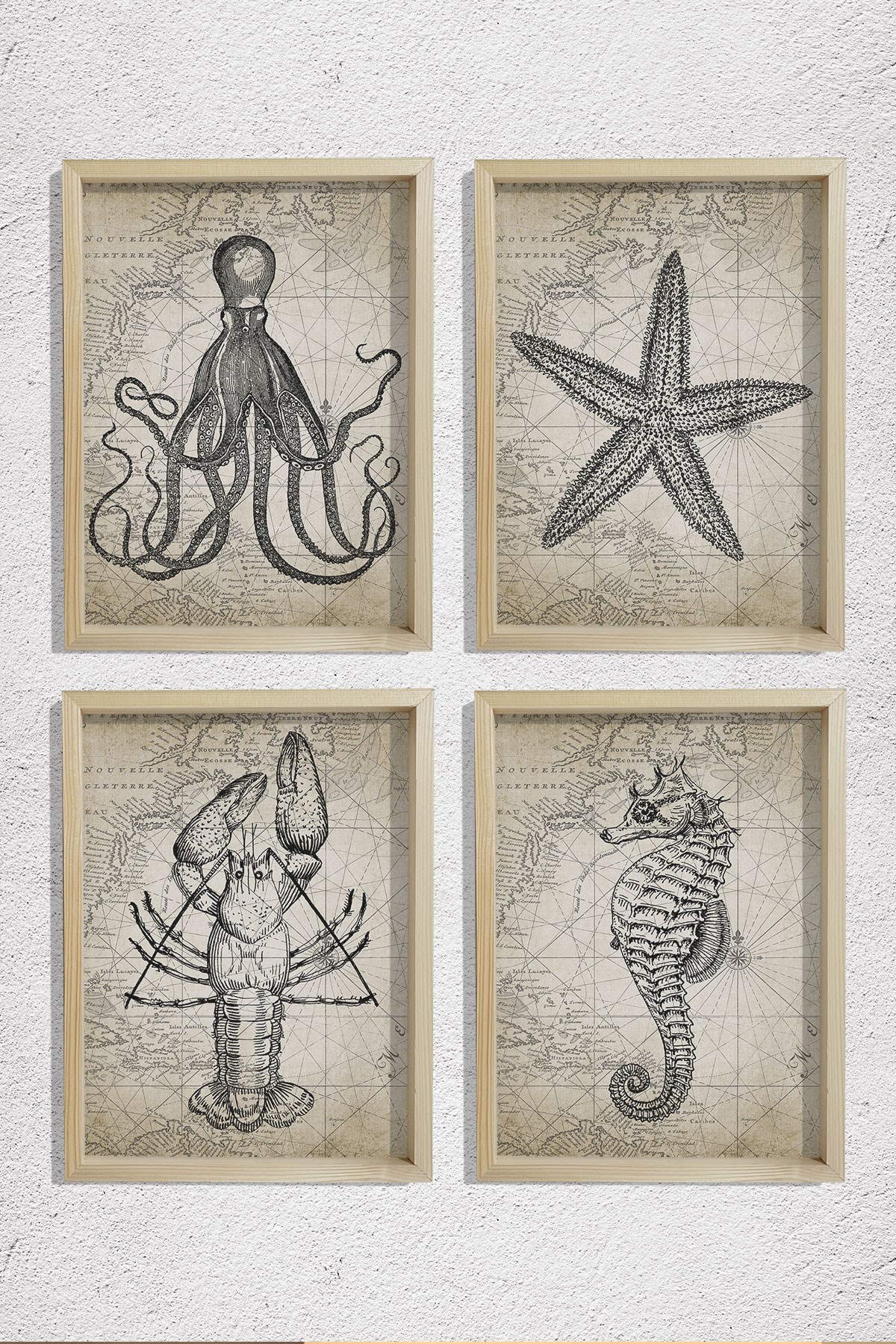 Doğal Çam Çerçeveli Duvar Tablosu Antik Deniz Canlıları Karakalem 4 lü Set