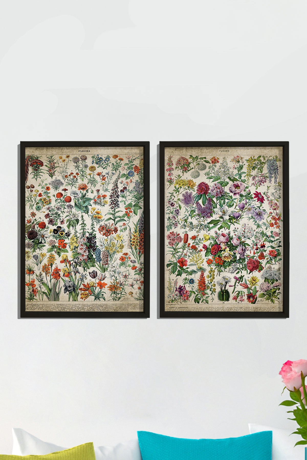 Doğal Çam Çerçeveli Duvar Tablosu Antik Çiçekler ve İsimleri