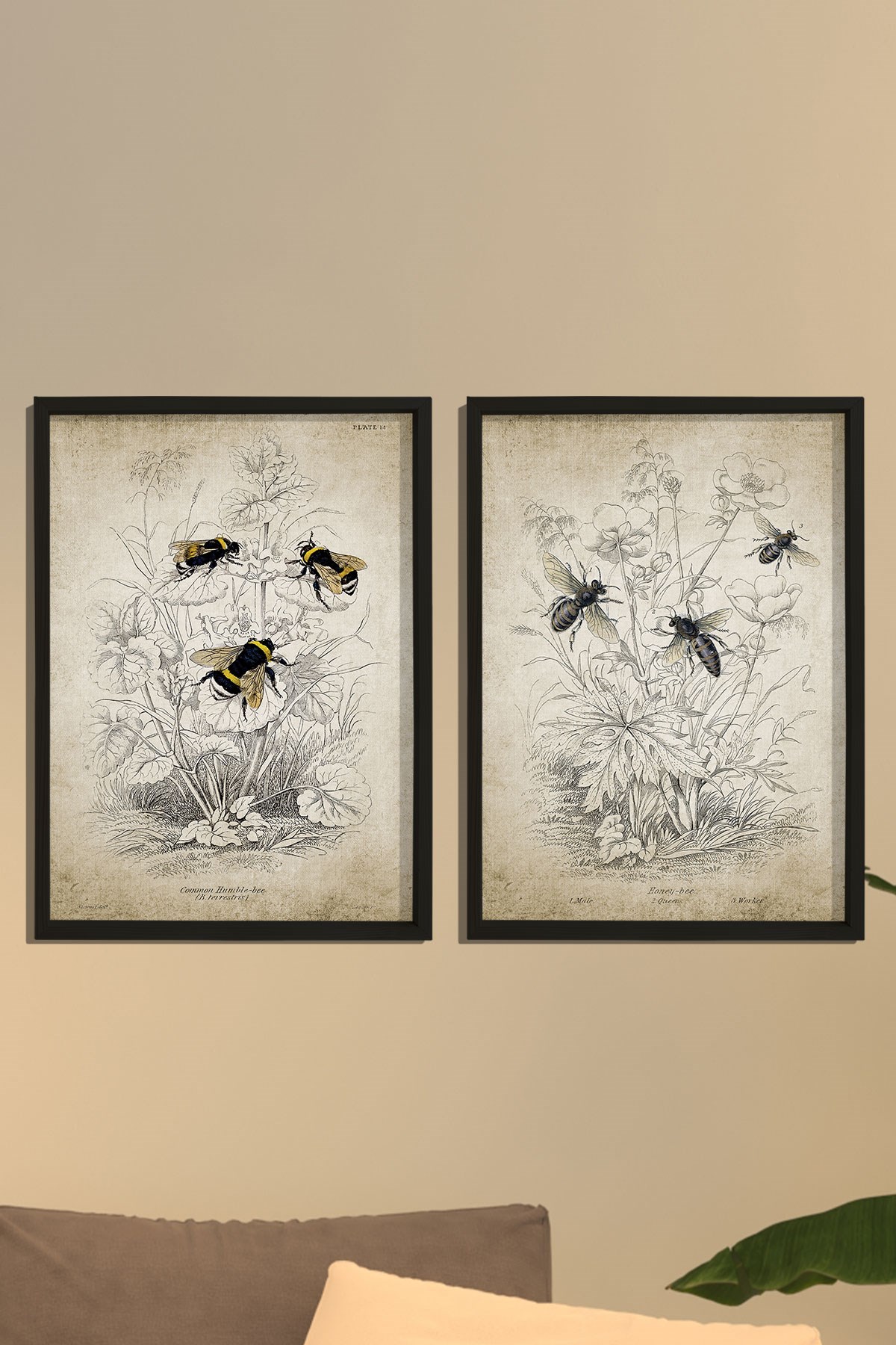 Doğal Çam Çerçeveli Duvar Tablosu Antik Bombus ve Bal Arısı