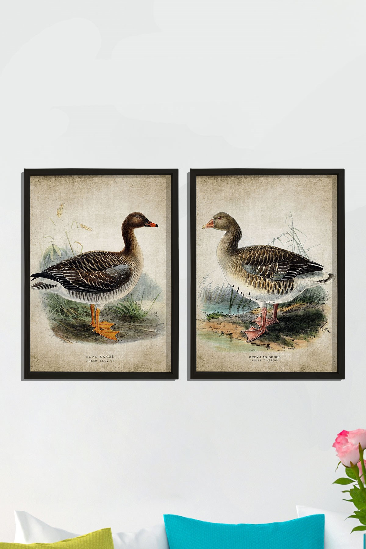 Doğal Çam Çerçeveli Duvar Tablosu Antik Kaz Baskısı