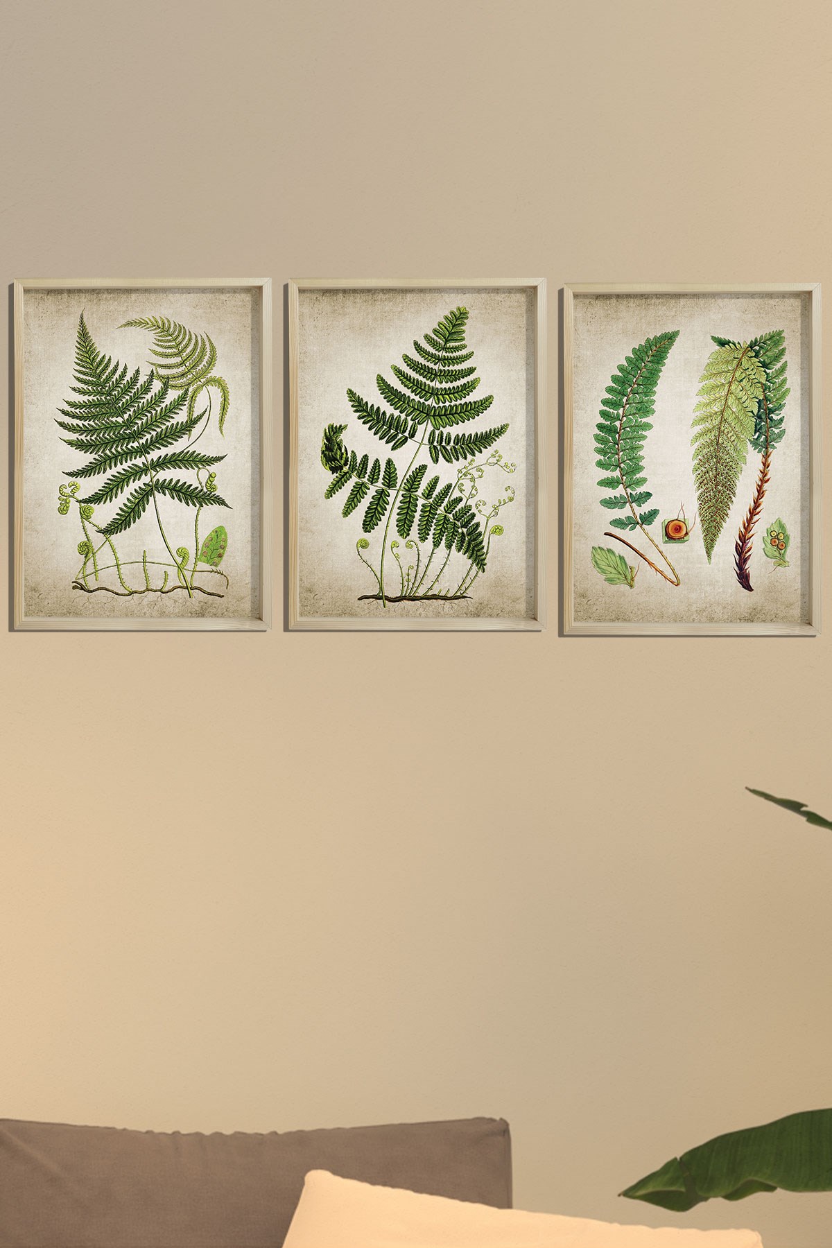 Doğal Çam Çerçeveli Duvar Tablosu Antik Fern Bitki Sanatı