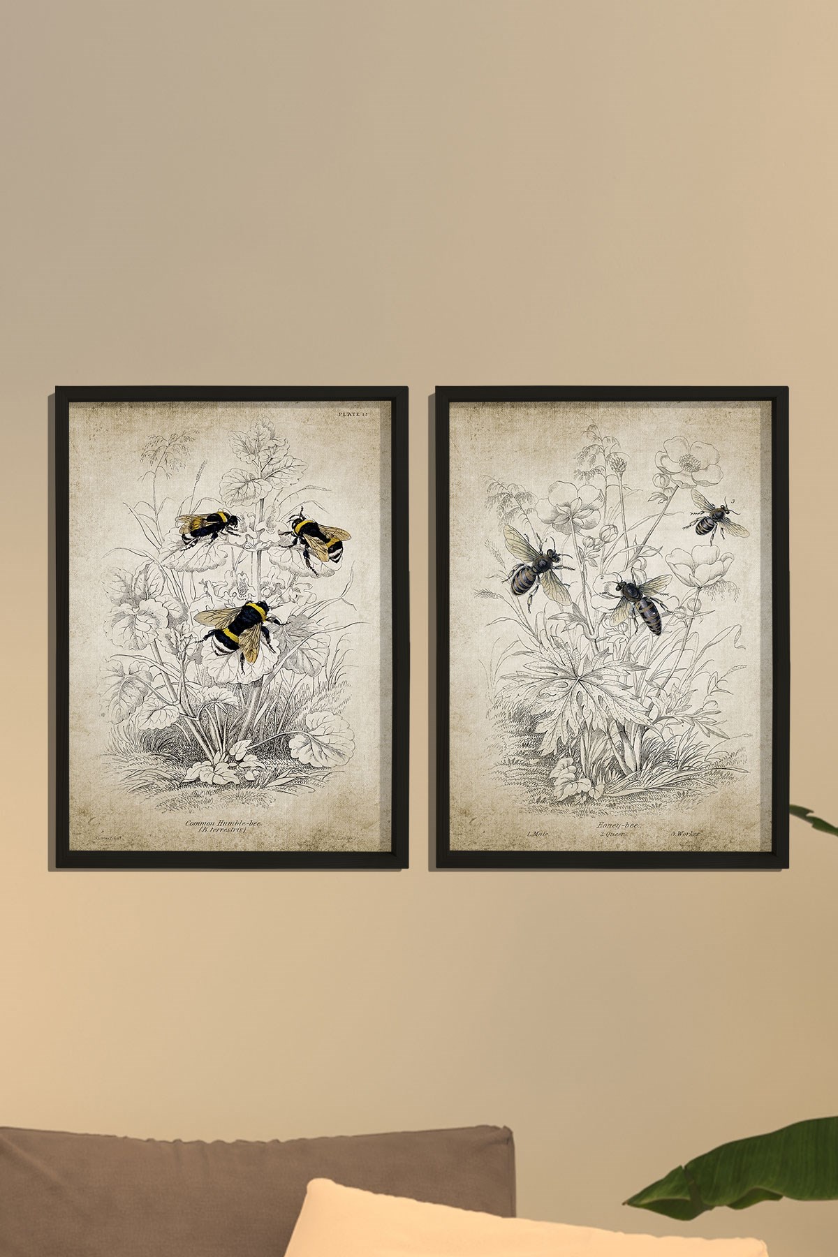 Doğal Çam Çerçeveli Duvar Tablosu Antik Bombus ve Bal Arısı