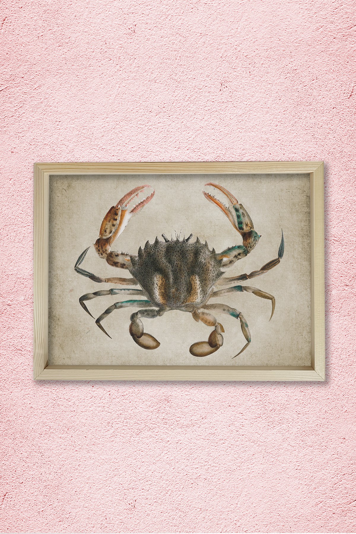 Doğal Çam Çerçeveli Duvar Tablosu Antik Yengeç