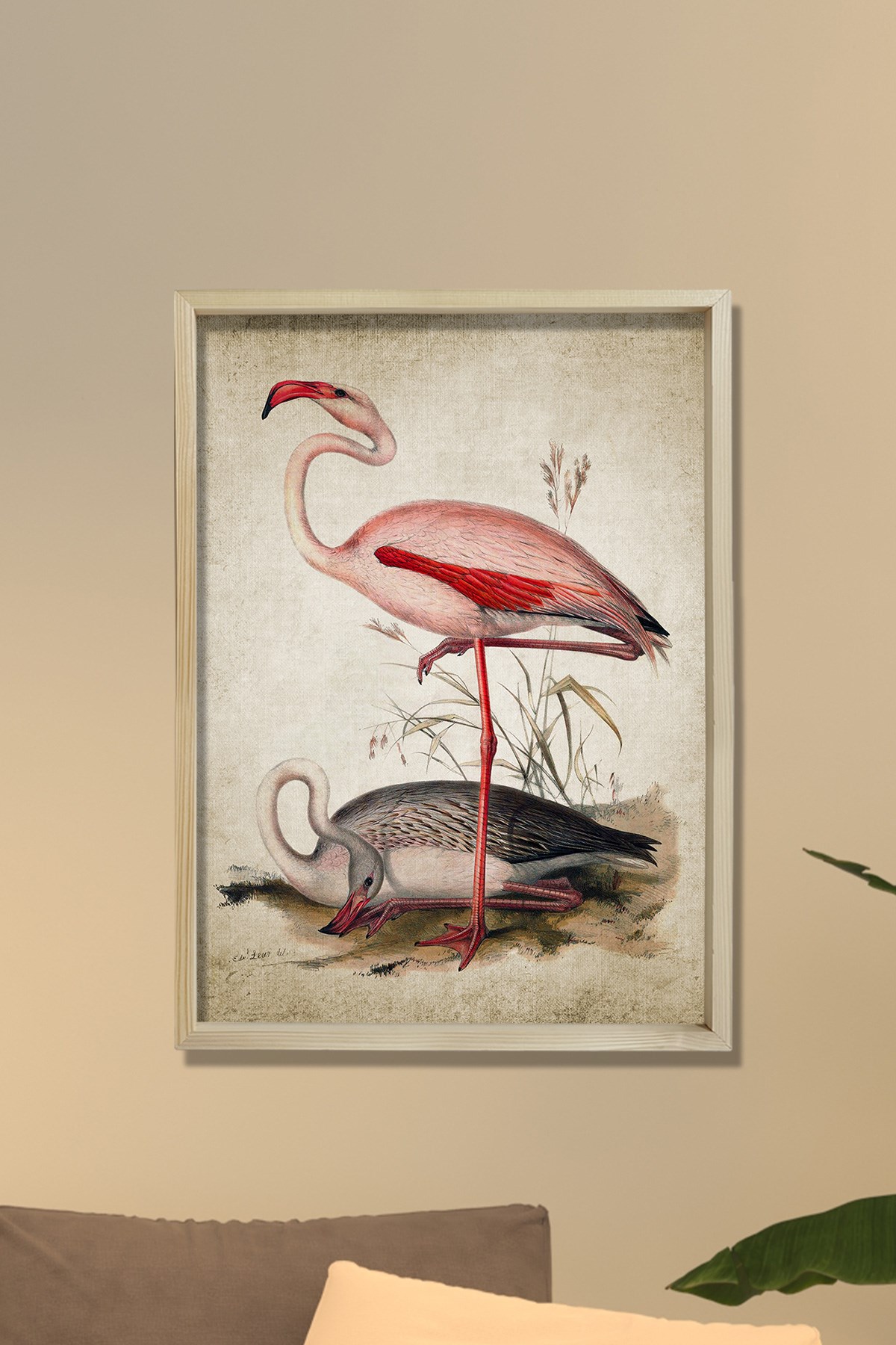Doğal Çam Çerçeveli Duvar Tablosu Antik Flamingo