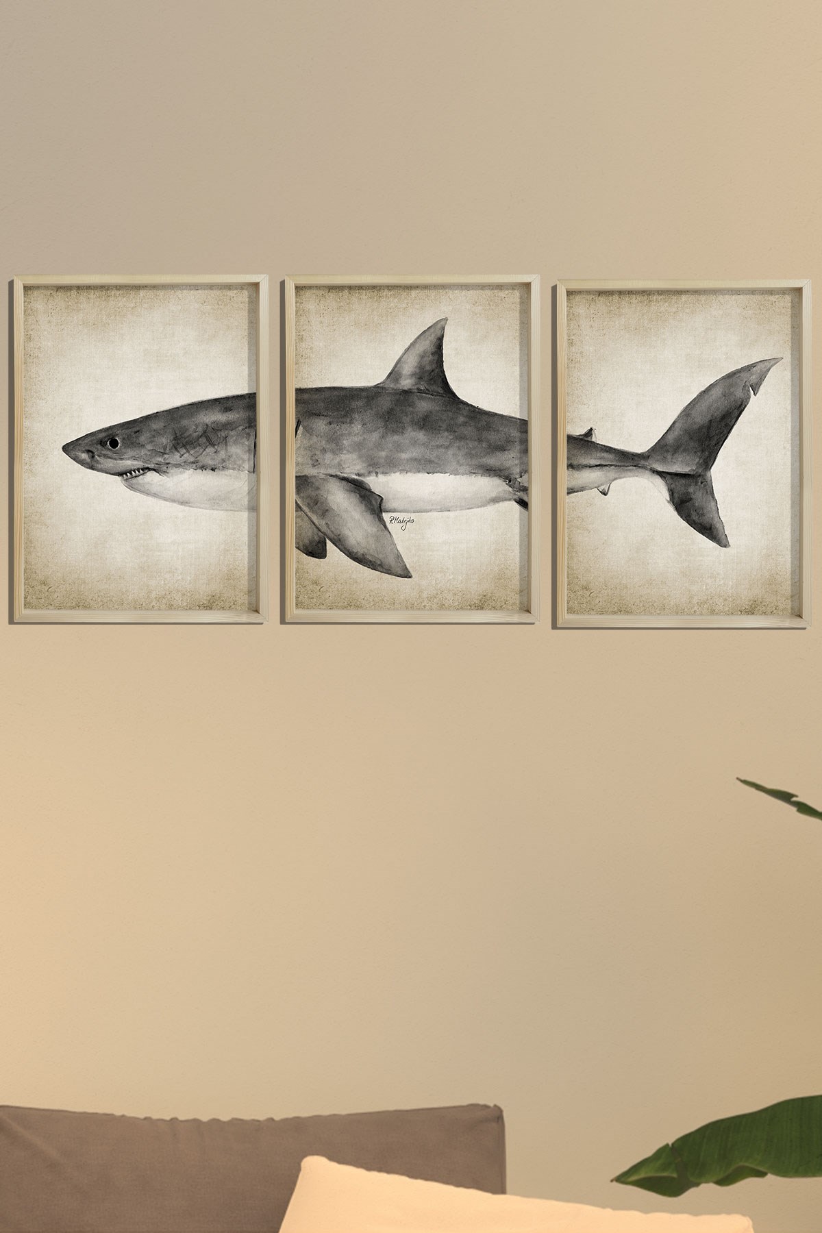 Doğal Çam Çerçeveli Duvar Tablosu Antik Büyük Beyaz Köpekbalığı