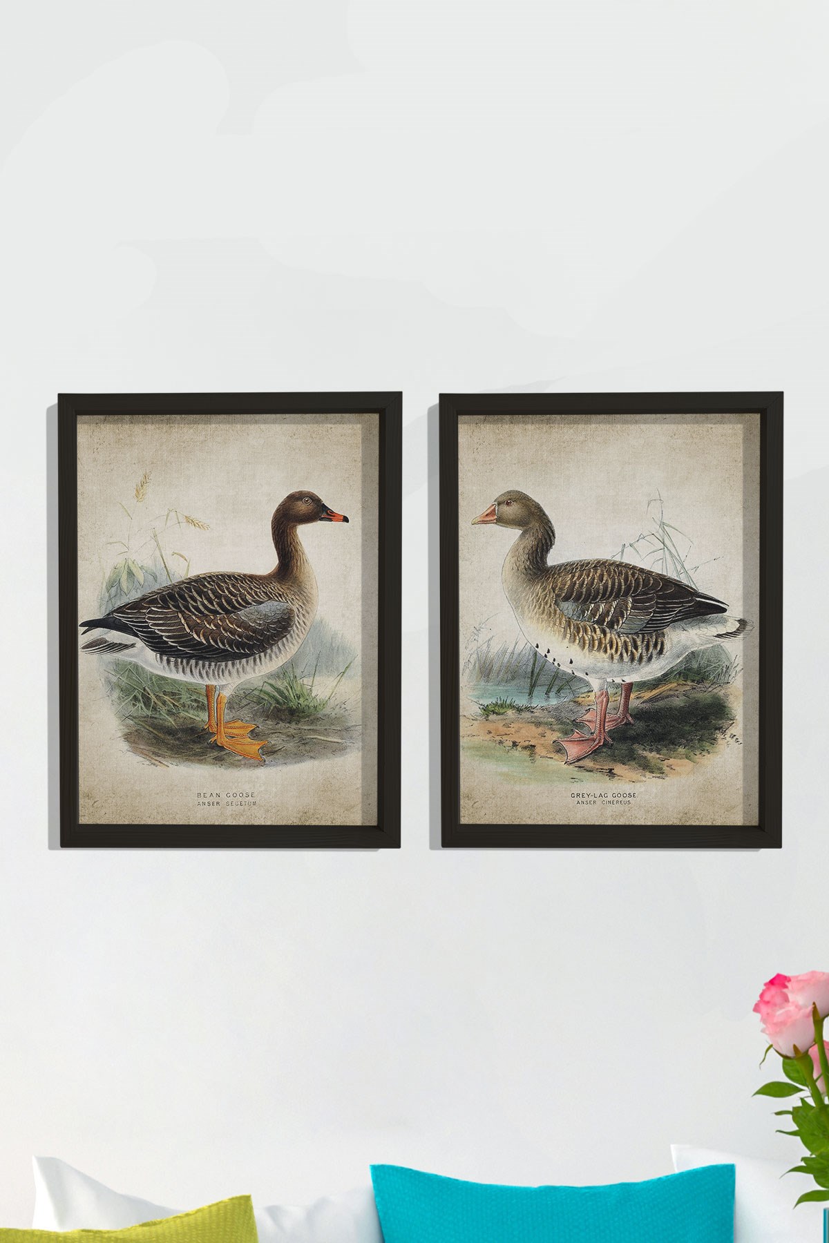 Doğal Çam Çerçeveli Duvar Tablosu Antik Kaz Baskısı