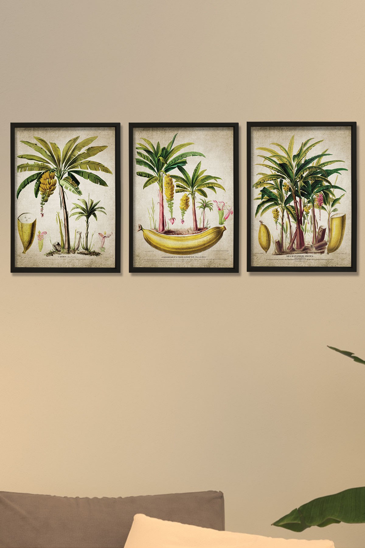 Doğal Çam Çerçeveli Duvar Tablosu Antik Muz ve Palmiye Ağacı