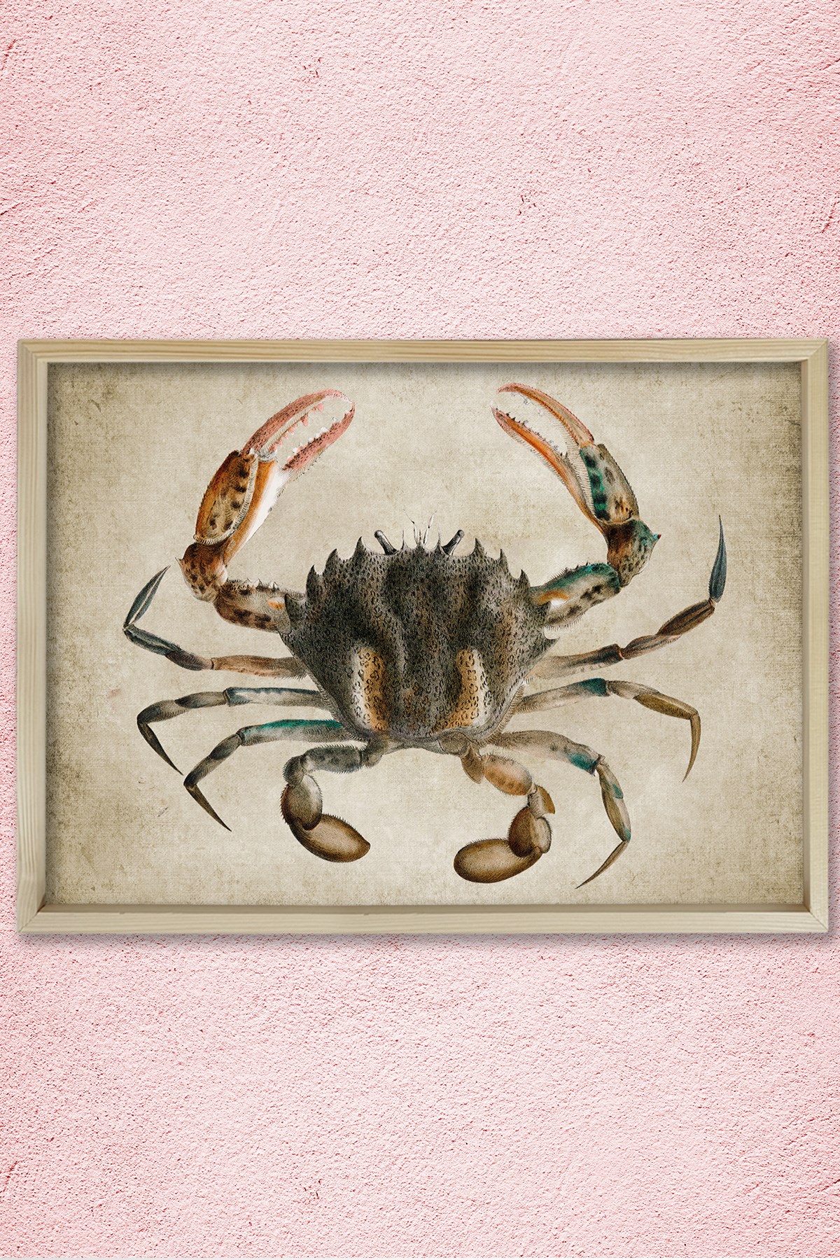 Doğal Çam Çerçeveli Duvar Tablosu Antik Yengeç