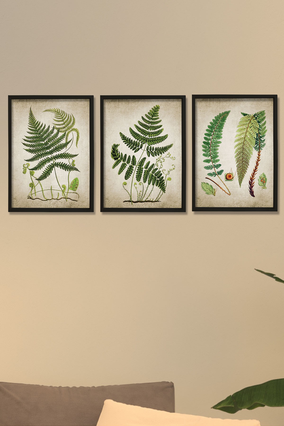 Doğal Çam Çerçeveli Duvar Tablosu Antik Fern Bitki Sanatı