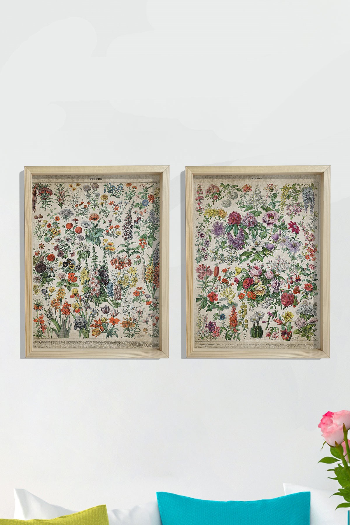 Doğal Çam Çerçeveli Duvar Tablosu Antik Çiçekler ve İsimleri