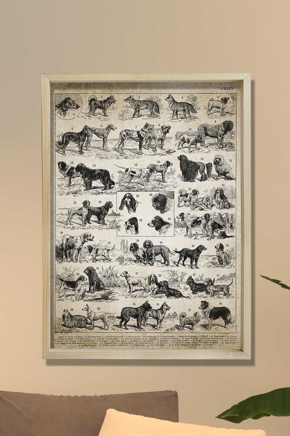 Doğal Çam Çerçeveli Duvar Tablosu Antik Köpek Irkları