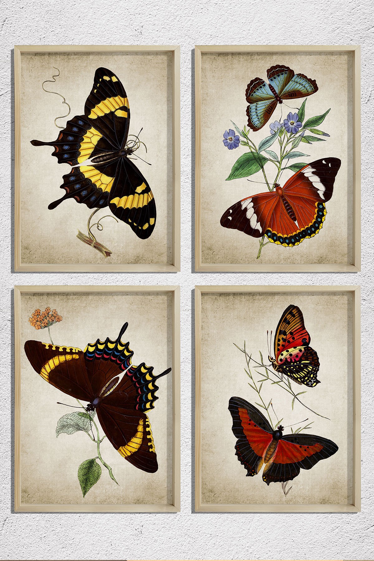 Doğal Çam Çerçeveli Duvar Tablosu Antik Kelenekler 4 lü Set