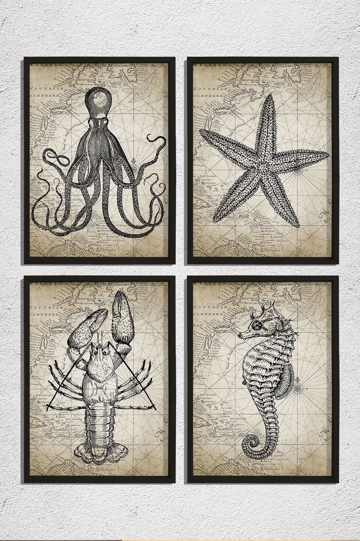 Doğal Çam Çerçeveli Duvar Tablosu Antik Deniz Canlıları Karakalem 4 lü Set