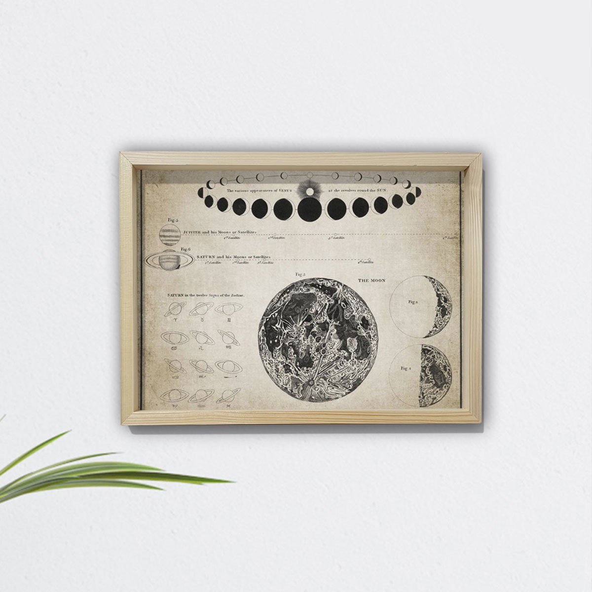 Doğal Çam Çerçeveli Duvar Tablosu Ay ve Astronomi Bilimi