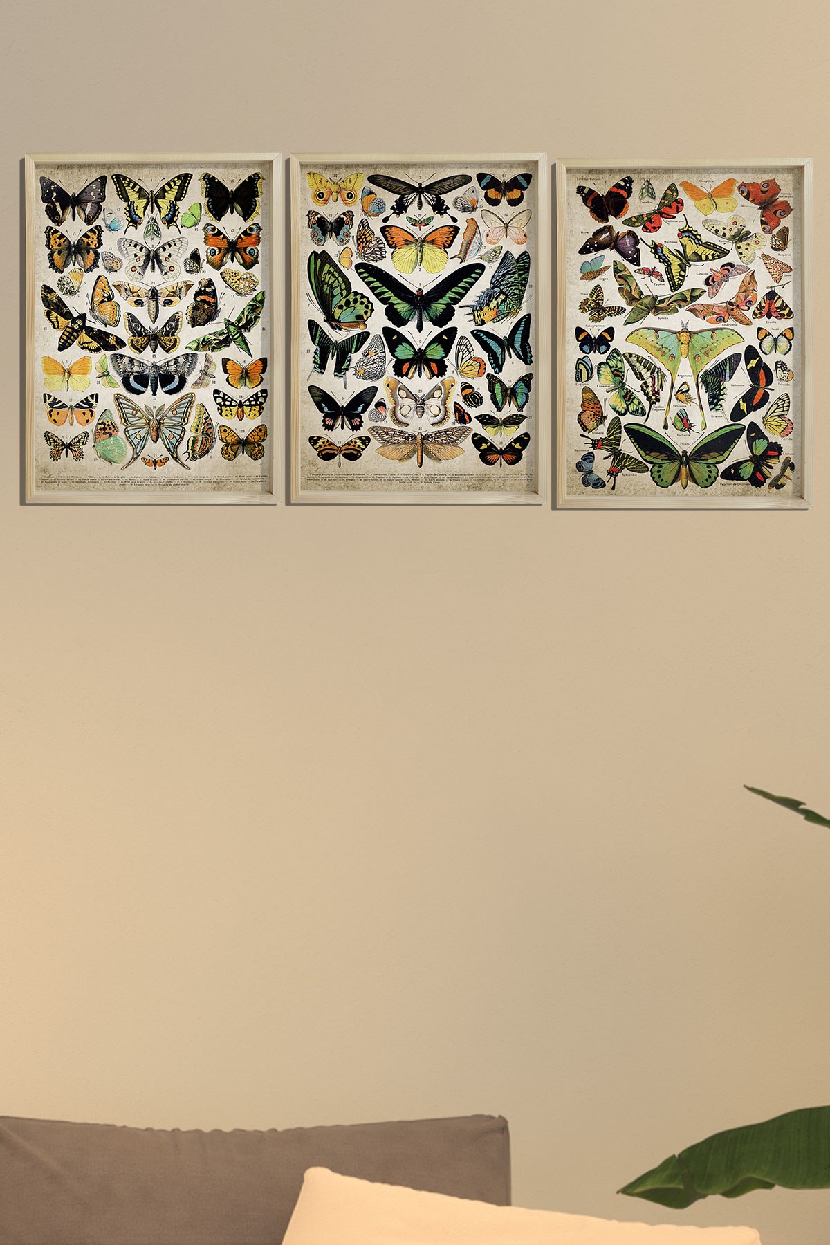 Doğal Çam Çerçeveli Duvar Tablosu Duvar Tablosu Antik Kelebek Sanat Baskısı