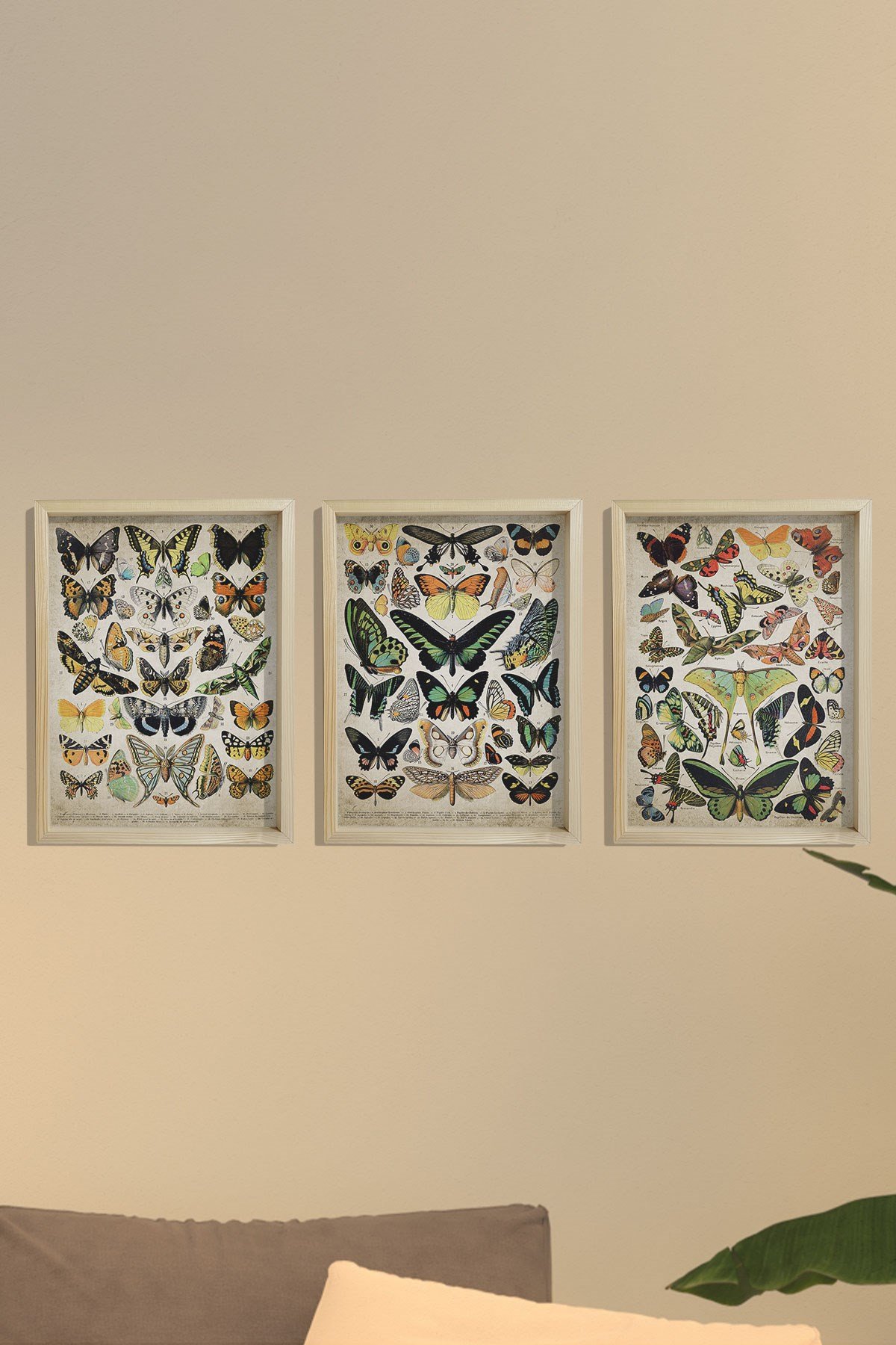 Doğal Çam Çerçeveli Duvar Tablosu Duvar Tablosu Antik Kelebek Sanat Baskısı