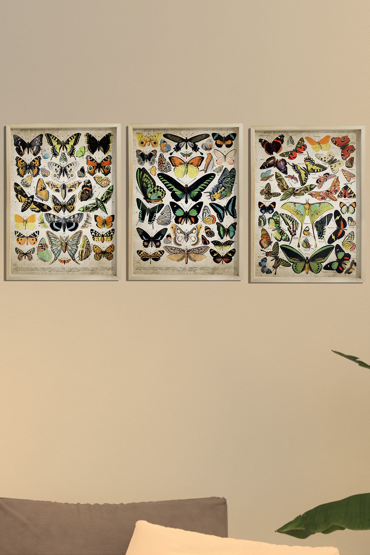 Doğal Çam Çerçeveli Duvar Tablosu Duvar Tablosu Antik Kelebek Sanat Baskısı