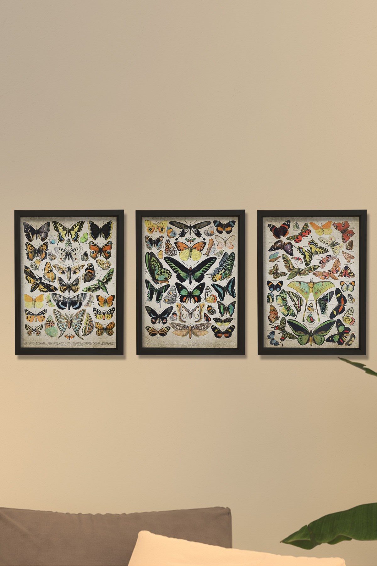 Doğal Çam Çerçeveli Duvar Tablosu Duvar Tablosu Antik Kelebek Sanat Baskısı