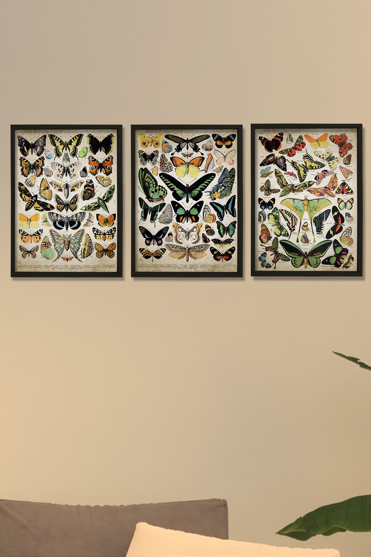 Doğal Çam Çerçeveli Duvar Tablosu Duvar Tablosu Antik Kelebek Sanat Baskısı