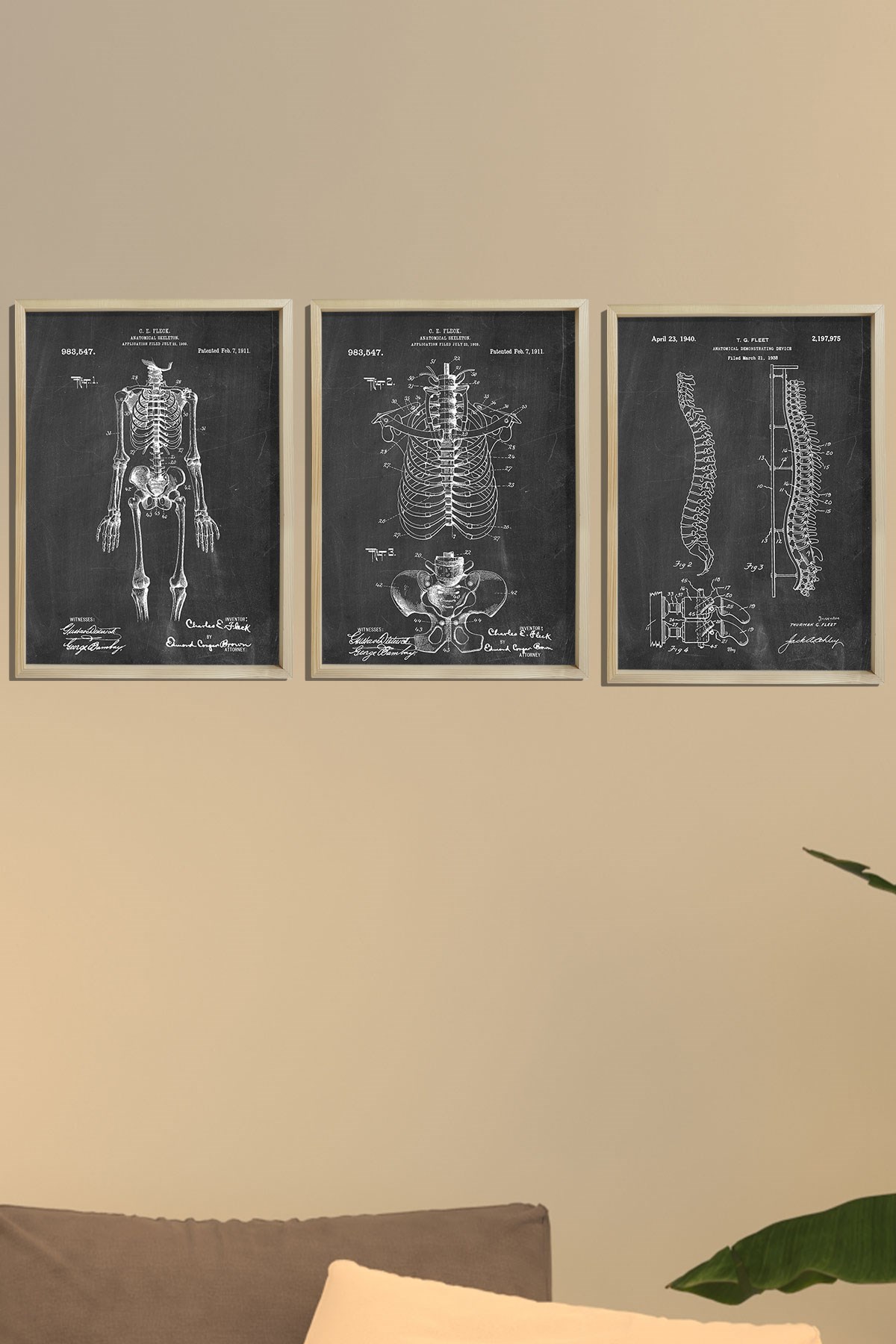 Doğal Çam Çerçeveli Duvar Tablosu İnsan İskelet Anatomi 3'lü Tablo Seti