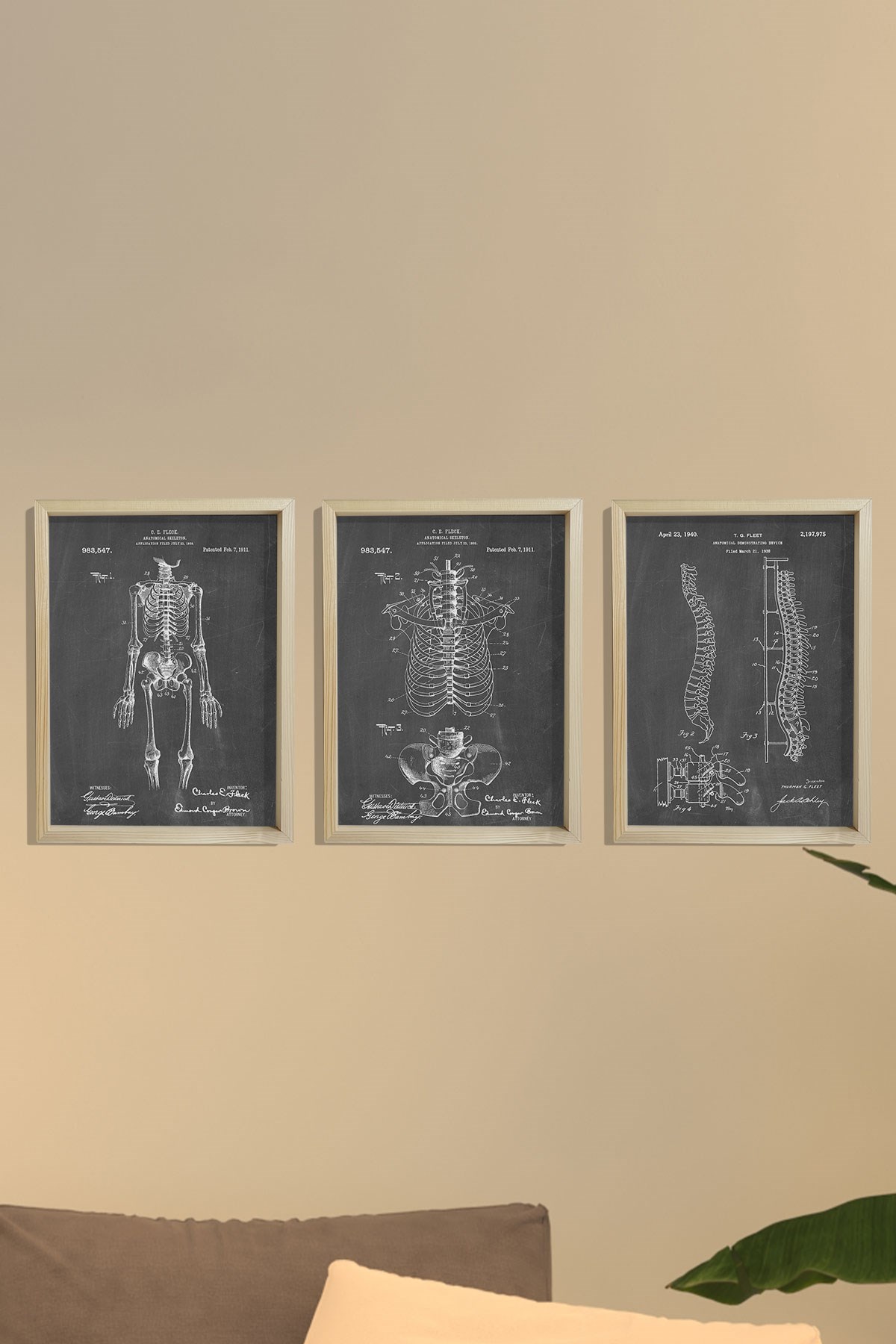 Doğal Çam Çerçeveli Duvar Tablosu İnsan İskelet Anatomi 3'lü Tablo Seti