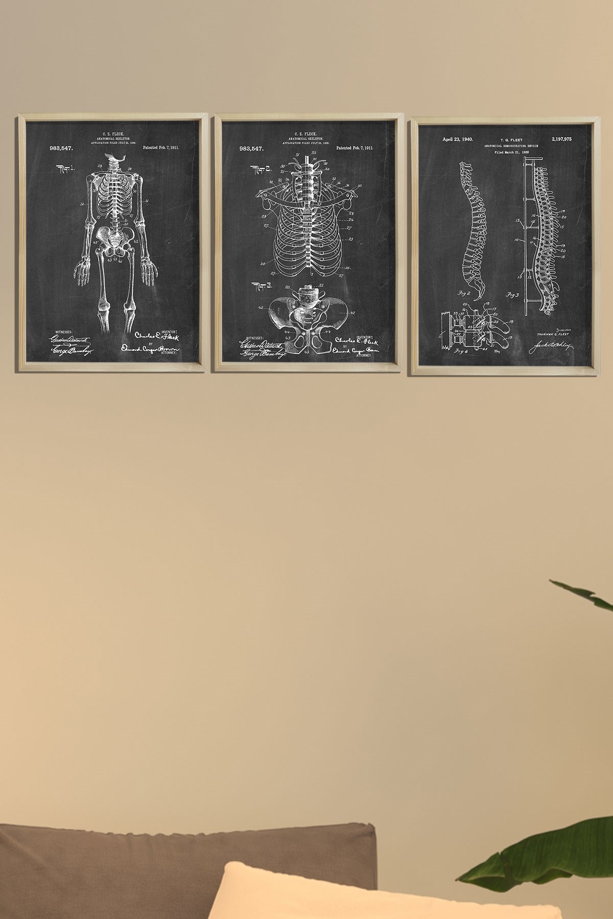 Doğal Çam Çerçeveli Duvar Tablosu İnsan İskelet Anatomi 3'lü Tablo Seti