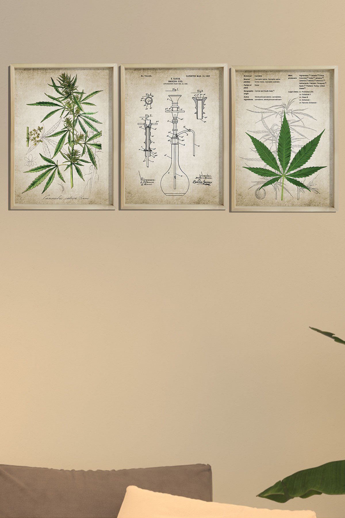 Doğal Çam Çerçeveli Duvar Tablosu Kenevir Bitki Pipo Patenti