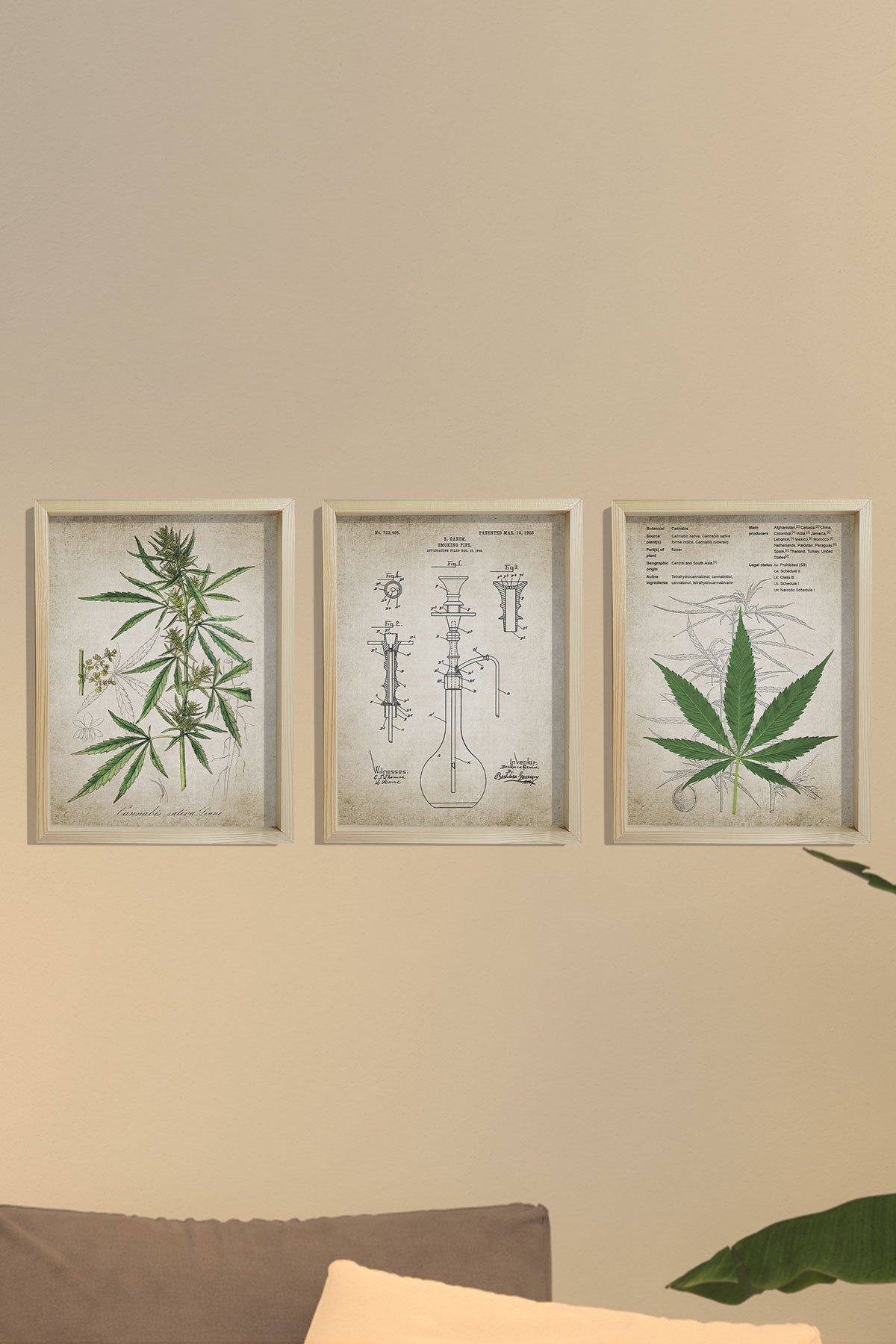 Doğal Çam Çerçeveli Duvar Tablosu Kenevir Bitki Pipo Patenti