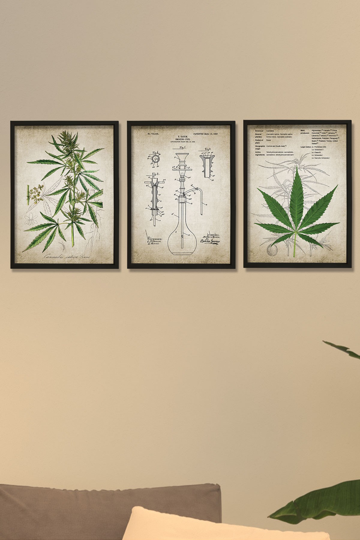 Doğal Çam Çerçeveli Duvar Tablosu Kenevir Bitki Pipo Patenti