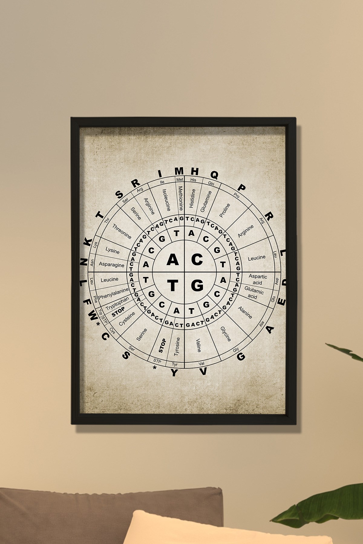 Doğal Çam Çerçeveli Duvar Tablosu Moleküler Biyoloji Genetik Kod