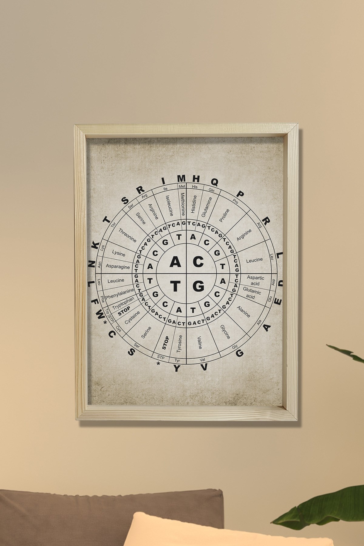 Doğal Çam Çerçeveli Duvar Tablosu Moleküler Biyoloji Genetik Kod