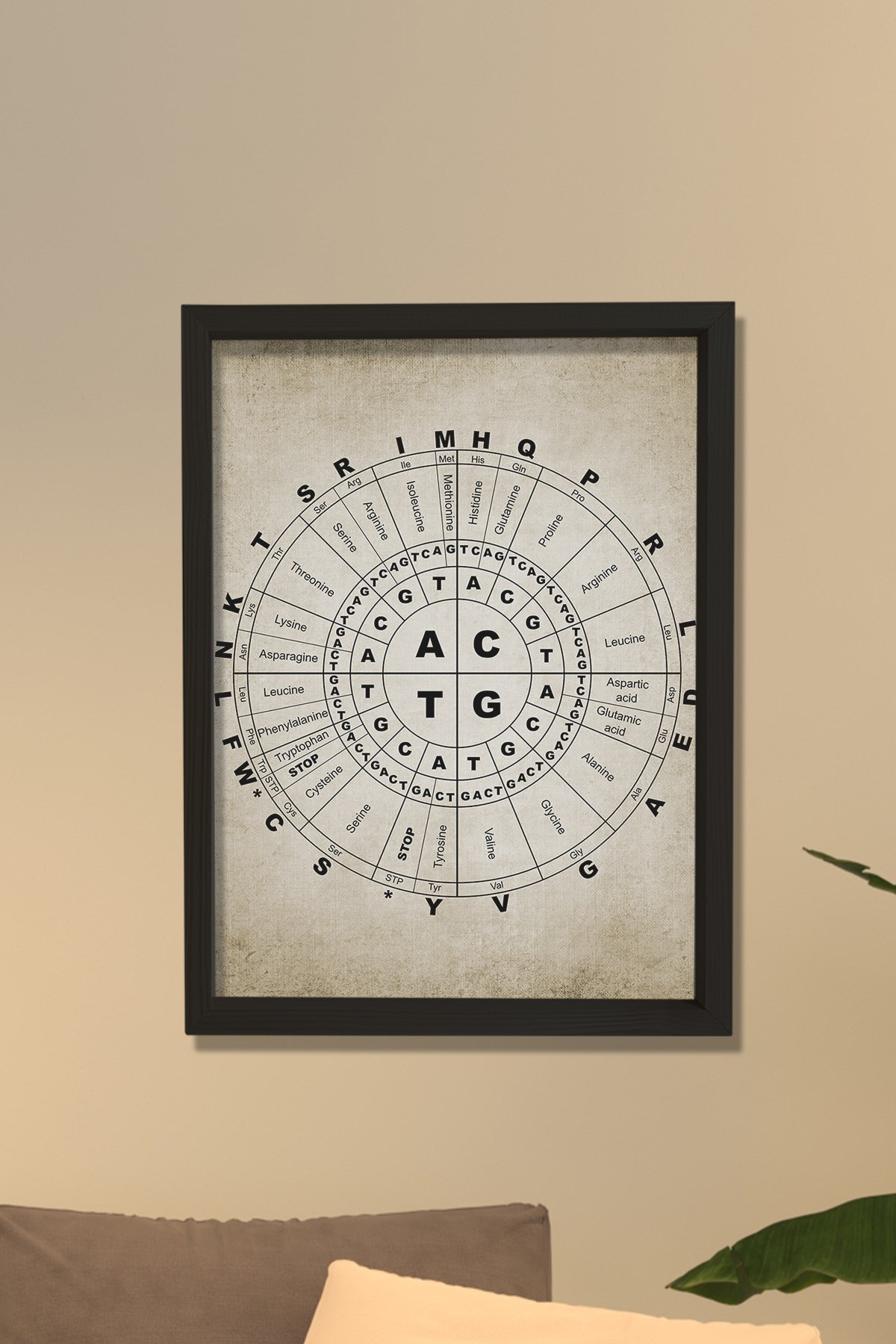 Doğal Çam Çerçeveli Duvar Tablosu Moleküler Biyoloji Genetik Kod