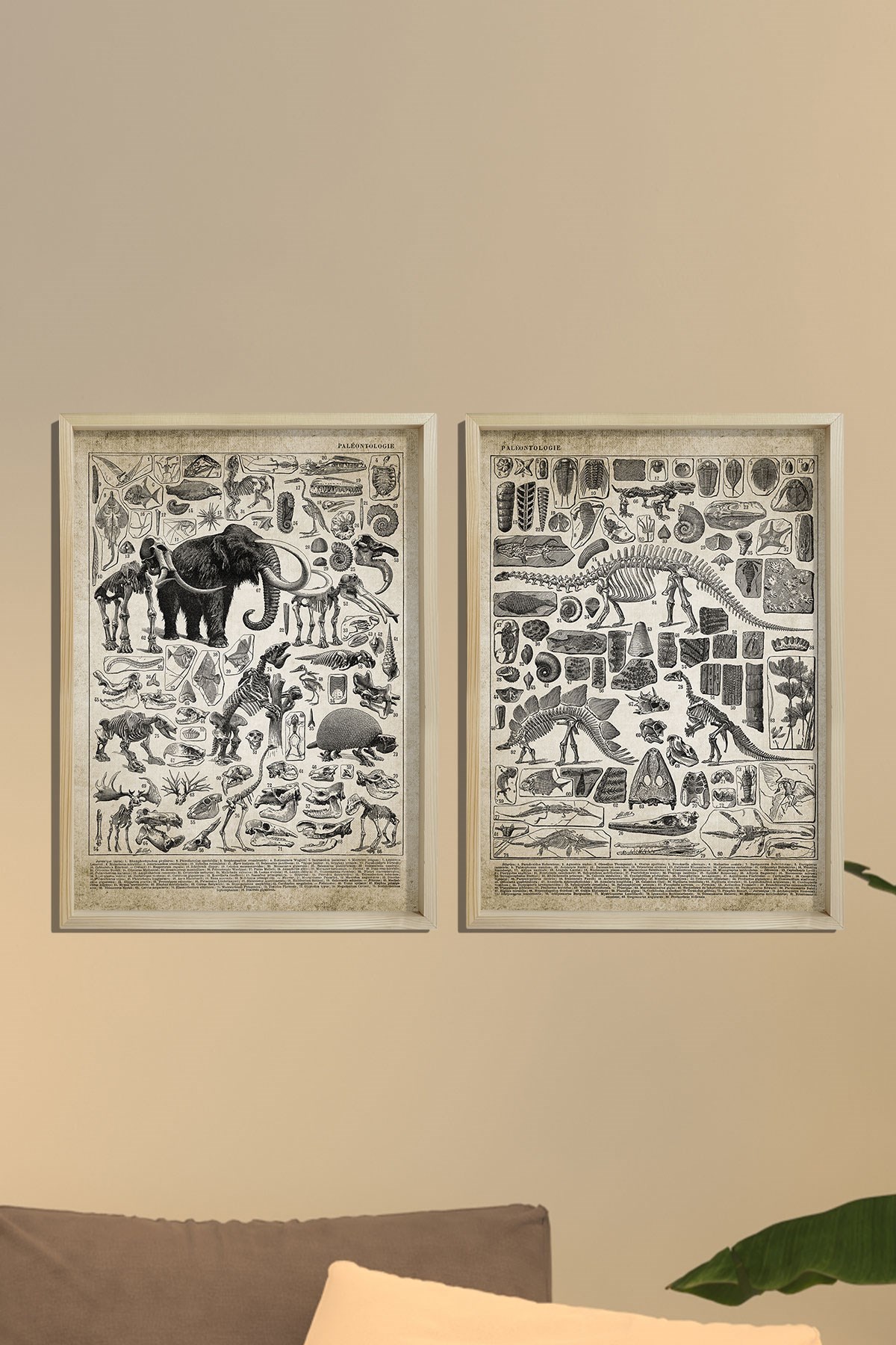 Doğal Çam Çerçeveli Duvar Tablosu Prehistorik Resim ve İsimleri