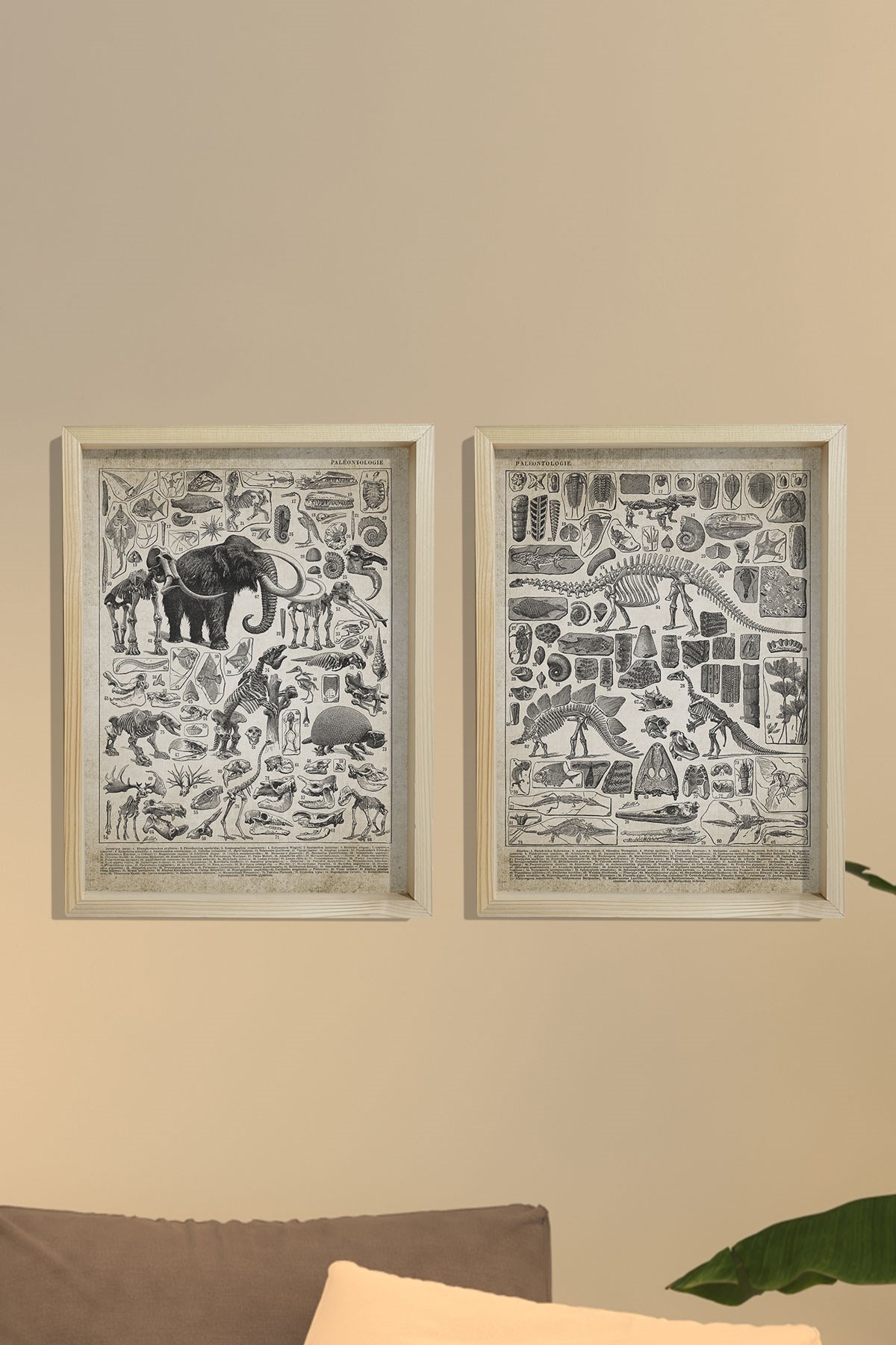 Doğal Çam Çerçeveli Duvar Tablosu Prehistorik Resim ve İsimleri