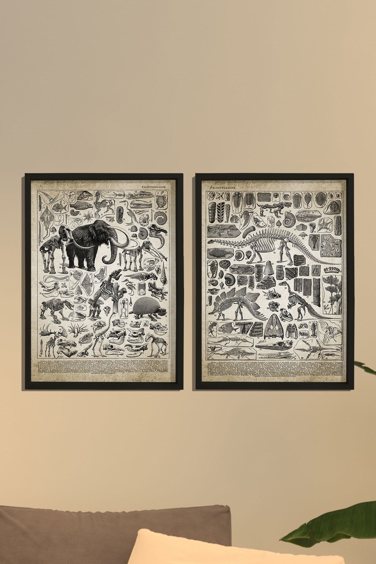 Doğal Çam Çerçeveli Duvar Tablosu Prehistorik Resim ve İsimleri