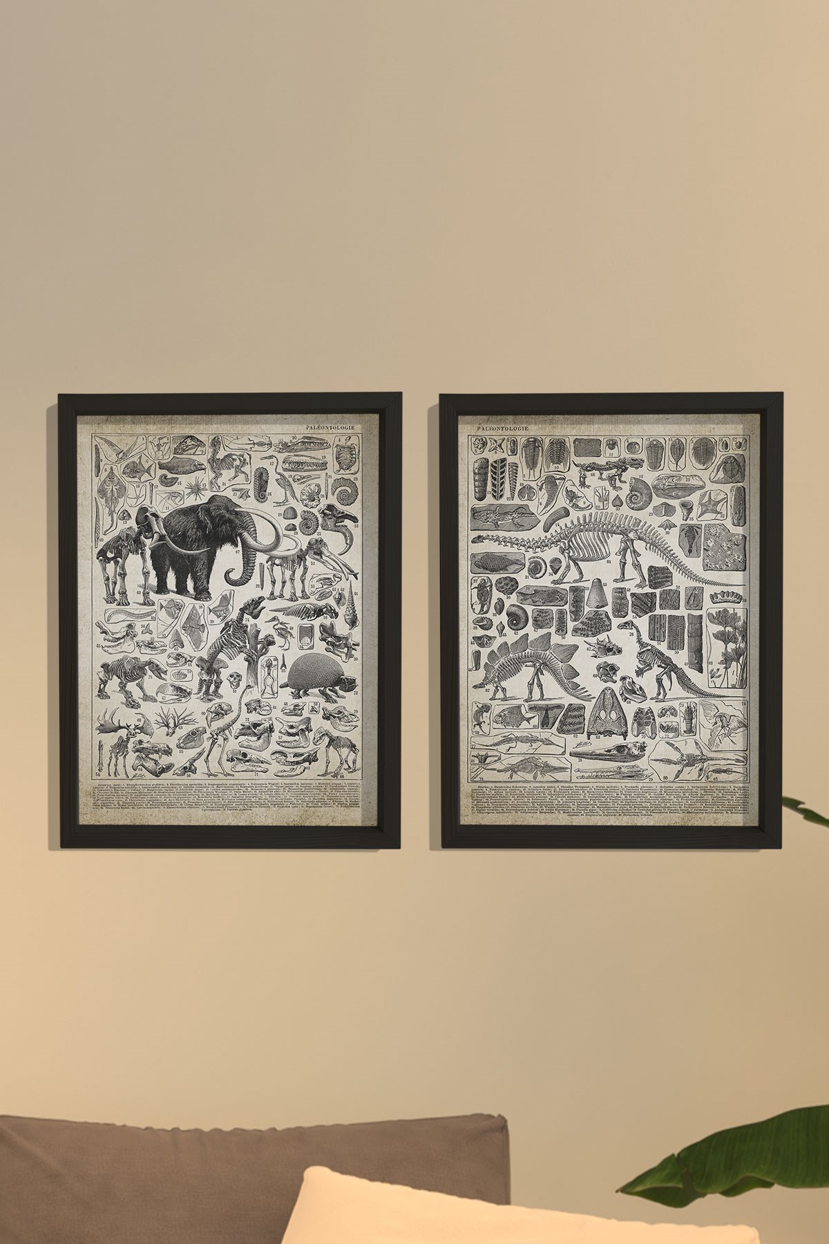 Doğal Çam Çerçeveli Duvar Tablosu Prehistorik Resim ve İsimleri