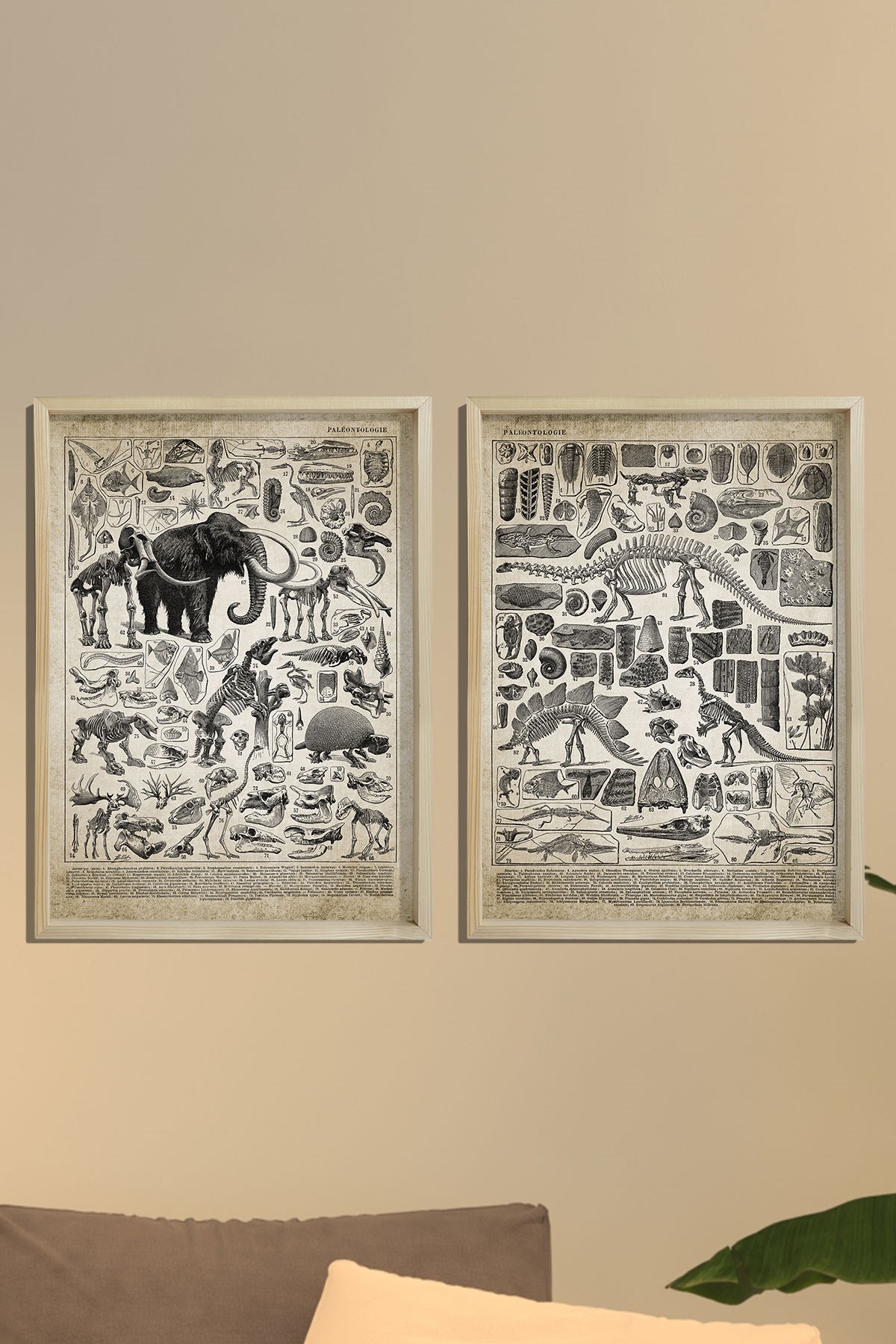 Doğal Çam Çerçeveli Duvar Tablosu Prehistorik Resim ve İsimleri