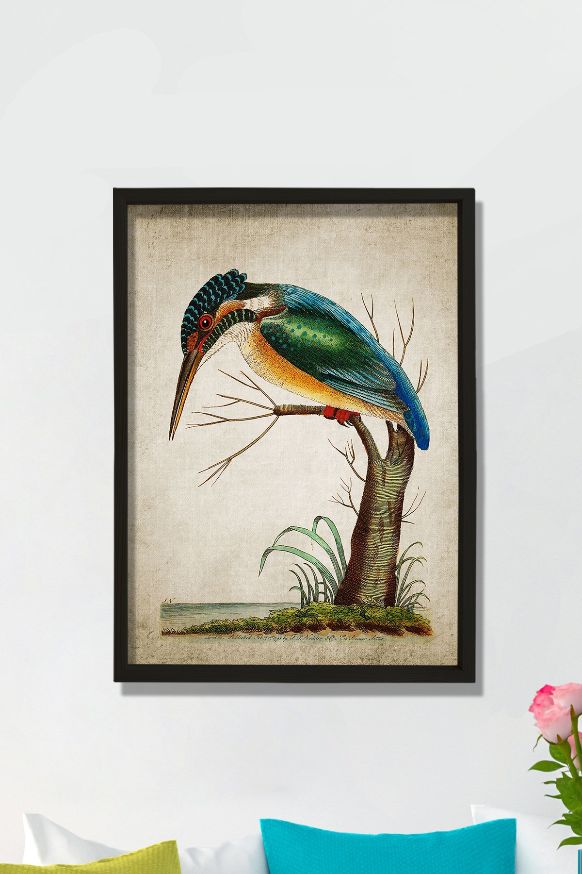 Doğal Çam Çerçeveli Duvar Tablosu Yalıçapkını - Kingfisher