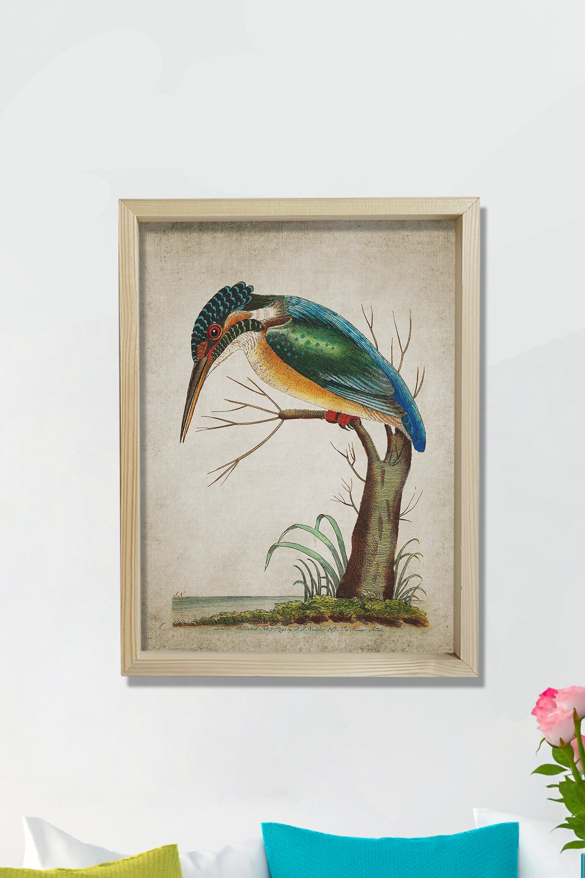 Doğal Çam Çerçeveli Duvar Tablosu Yalıçapkını - Kingfisher