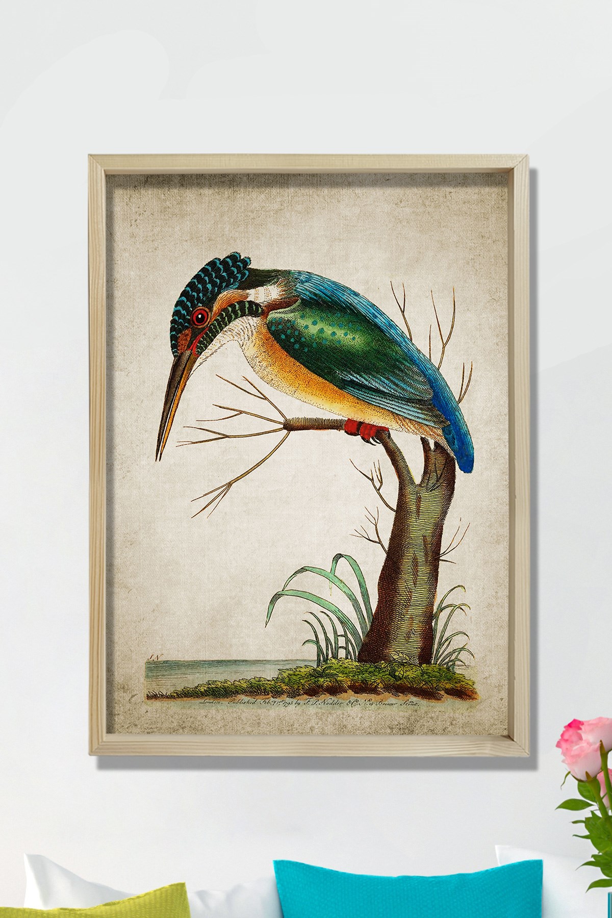 Doğal Çam Çerçeveli Duvar Tablosu Yalıçapkını - Kingfisher