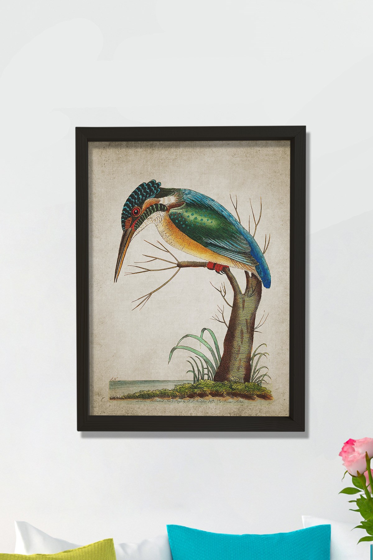 Doğal Çam Çerçeveli Duvar Tablosu Yalıçapkını - Kingfisher