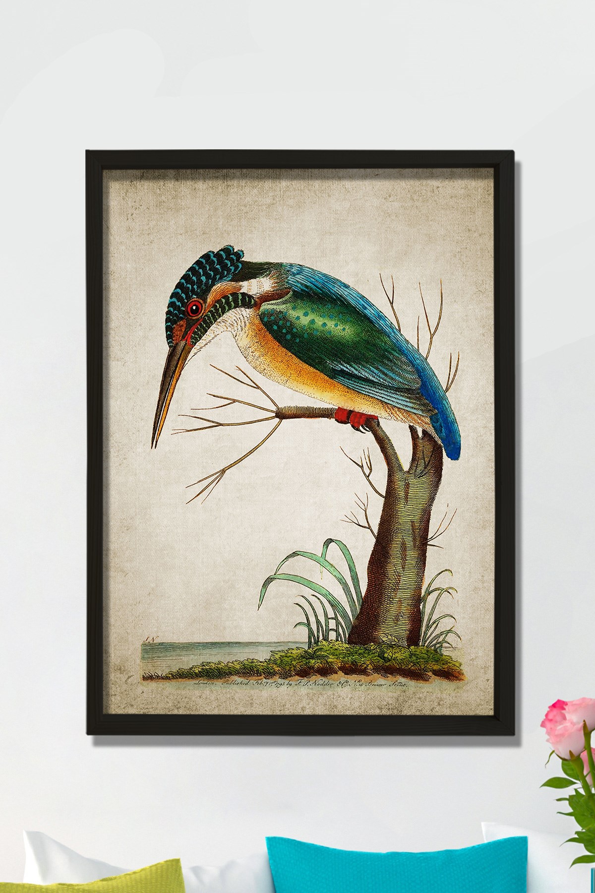 Doğal Çam Çerçeveli Duvar Tablosu Yalıçapkını - Kingfisher