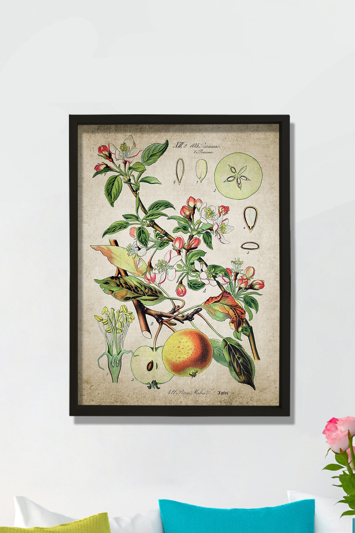 Doğal Çam Çerçeveli Mutfak Duvar Tablosu Antik Elma