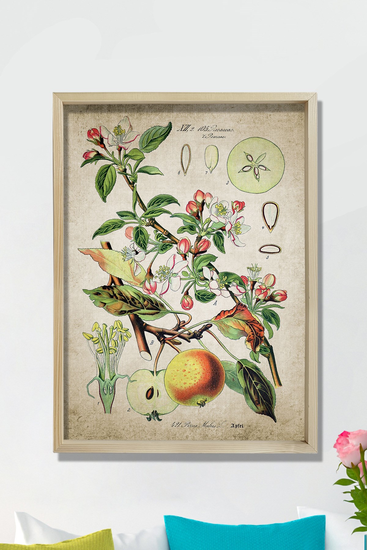 Doğal Çam Çerçeveli Mutfak Duvar Tablosu Antik Elma