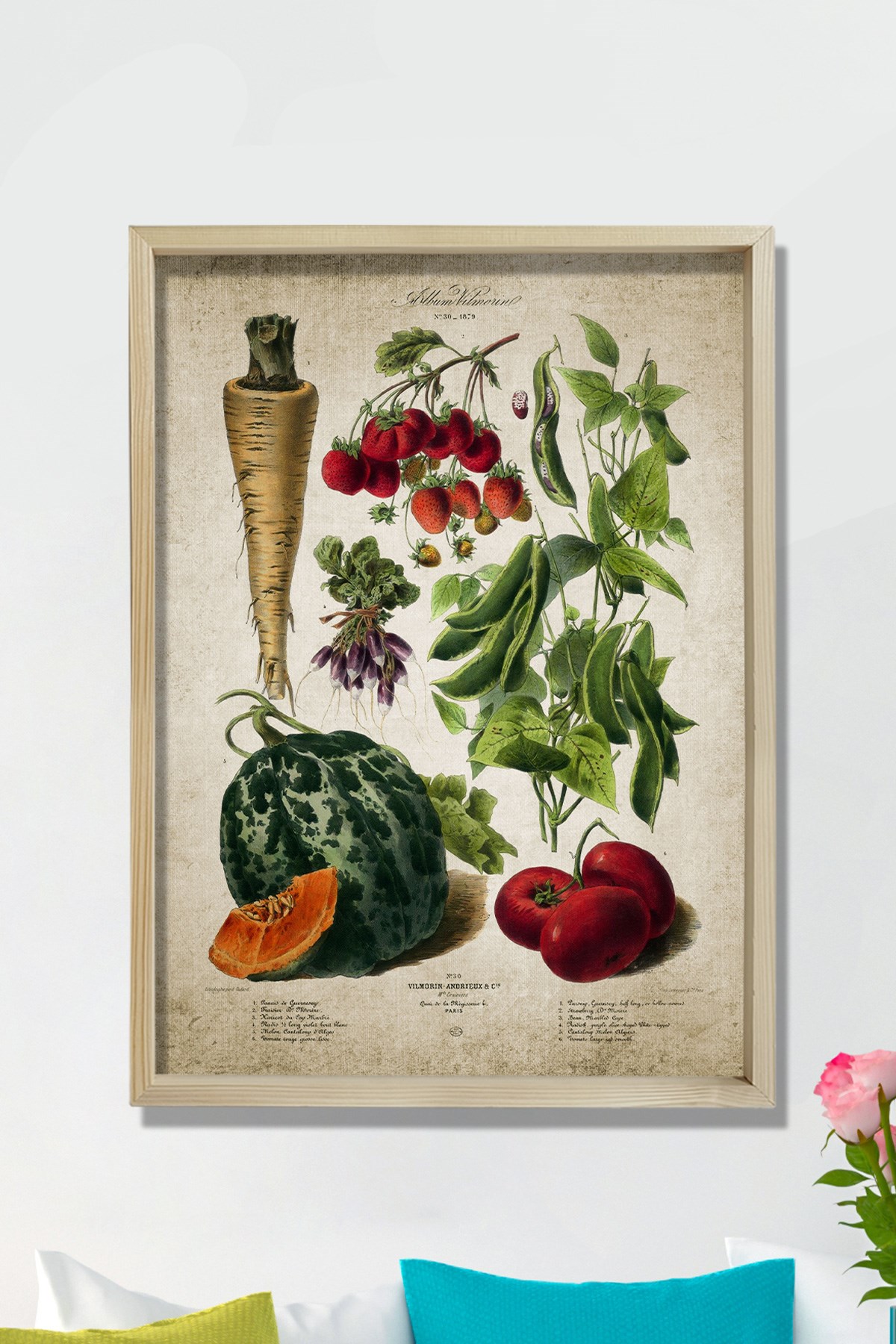 Doğal Çam Çerçeveli Mutfak Duvar Tablosu Sebzeler Antik Baskı