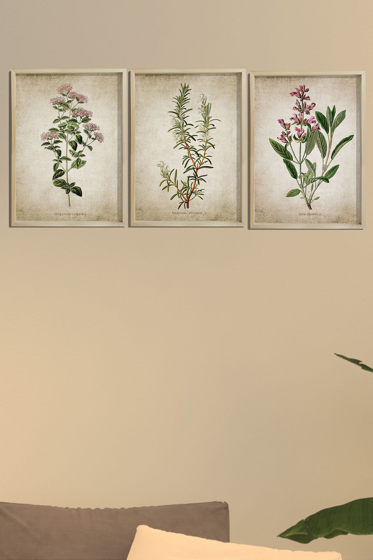 Doğal Çam Çerçeveli Mutfak Duvar Tablosu Antik Kekik, Biberiye, Adaçayı