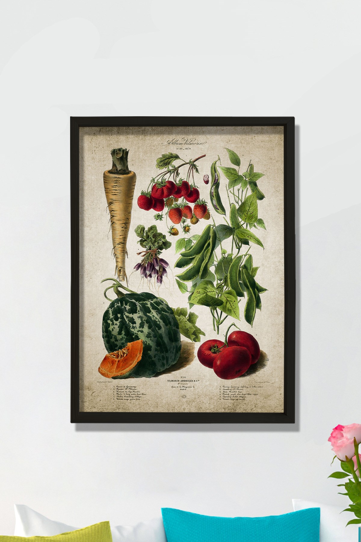 Doğal Çam Çerçeveli Mutfak Duvar Tablosu Sebzeler Antik Baskı