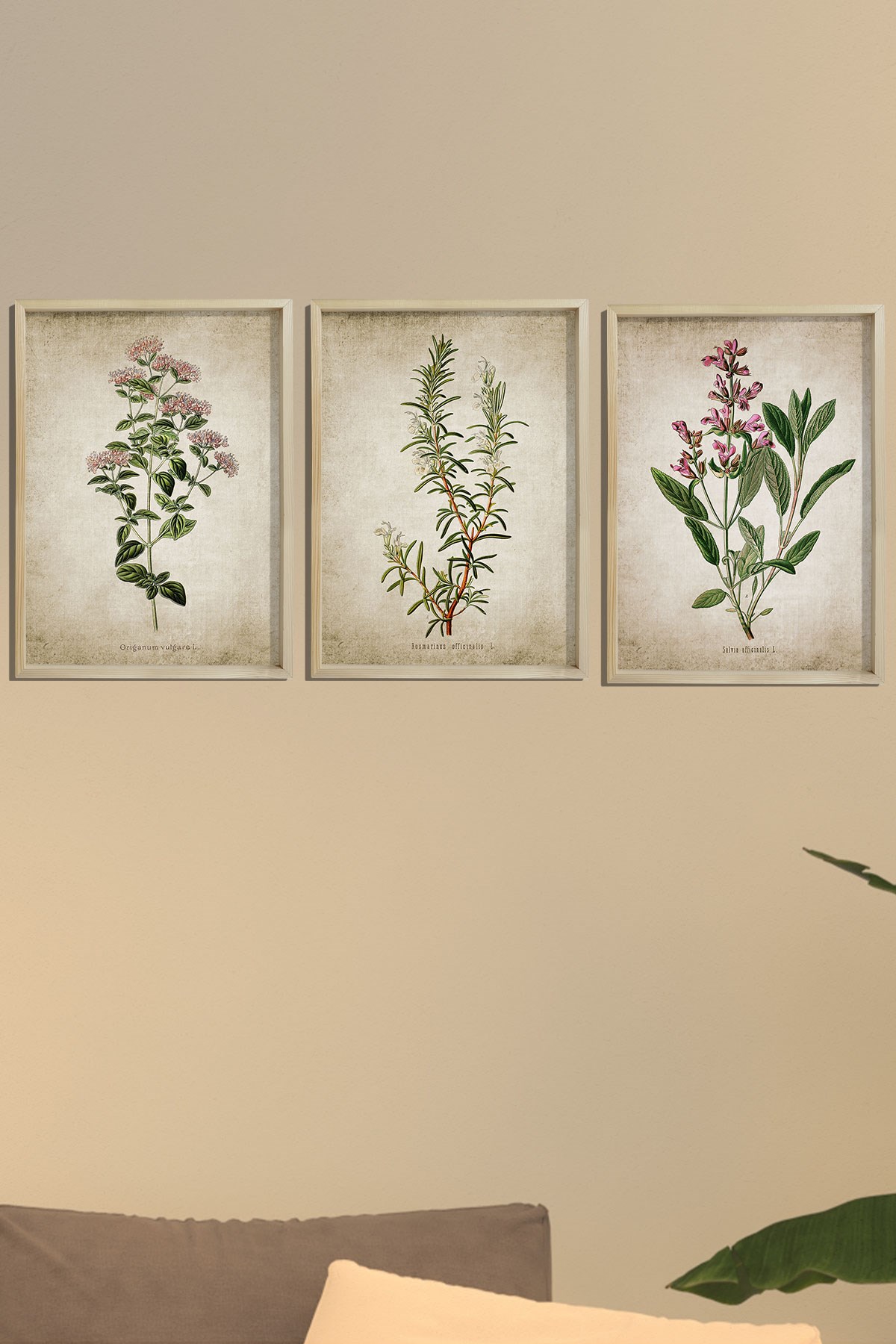 Doğal Çam Çerçeveli Mutfak Duvar Tablosu Antik Kekik, Biberiye, Adaçayı