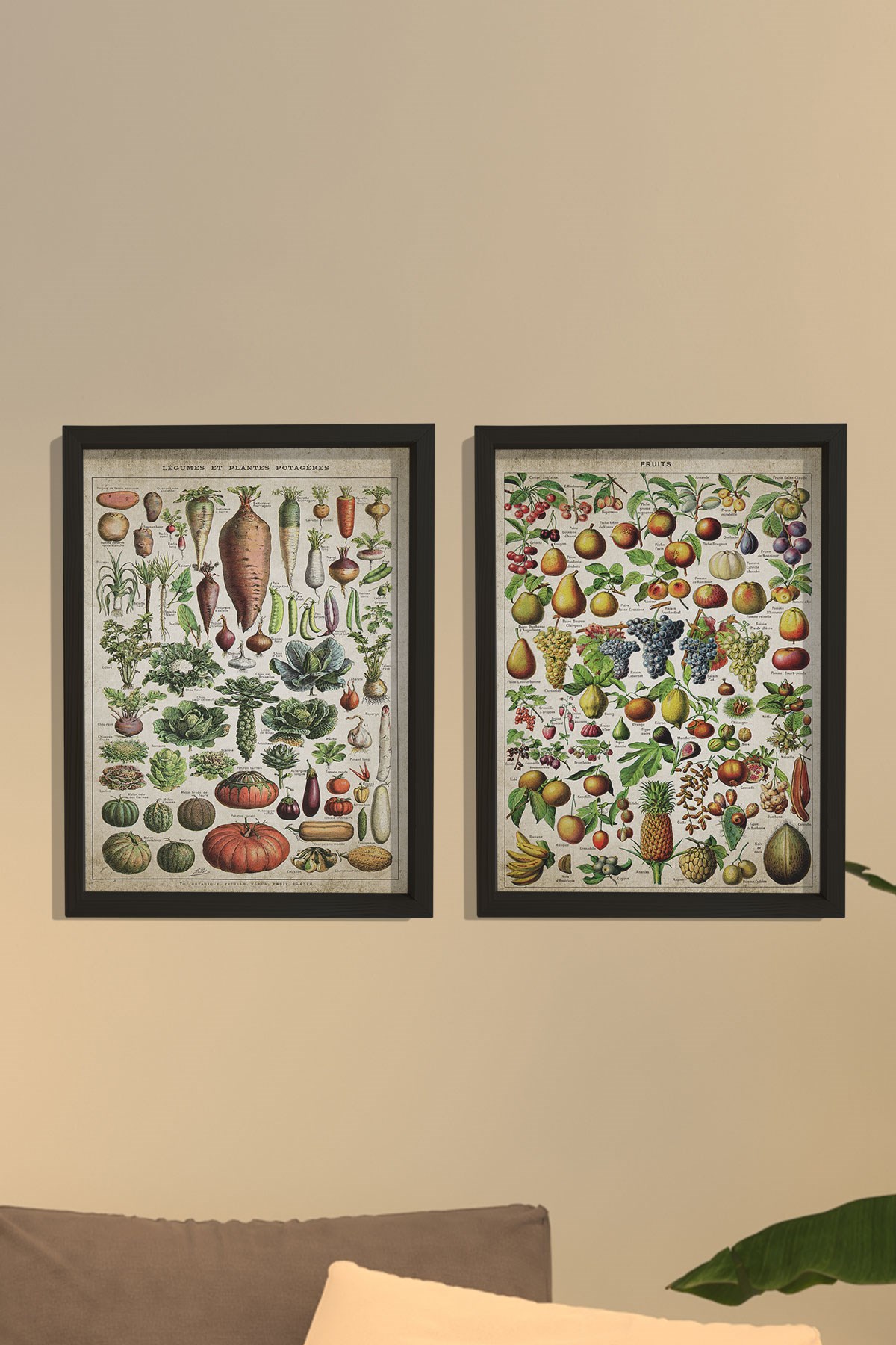 Doğal Çam Çerçeveli Mutfak Duvar Tablosu Antik Meyve - Sebze ve İsimleri